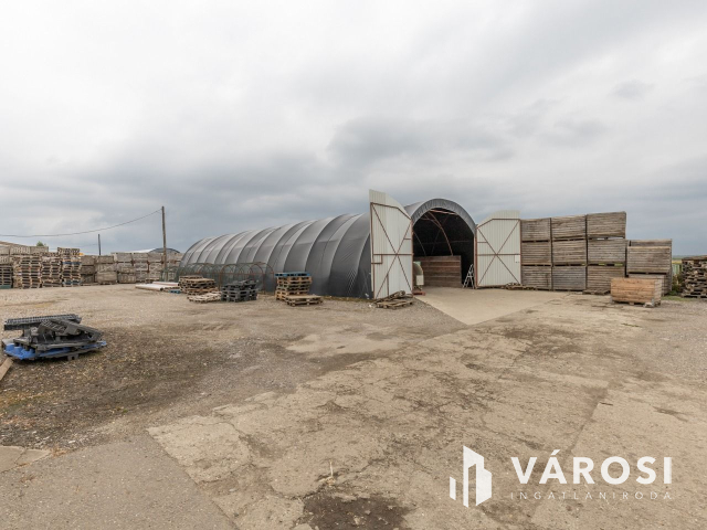 Makói, mezőgazdasági tanya/telephely eladó!