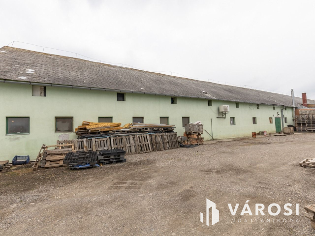 Makói, mezőgazdasági tanya/telephely eladó!