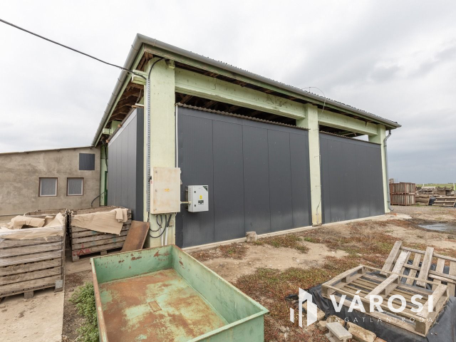 Makói, mezőgazdasági tanya/telephely eladó!