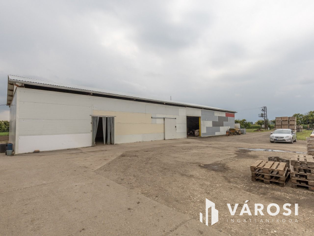 Makói, mezőgazdasági tanya/telephely eladó!