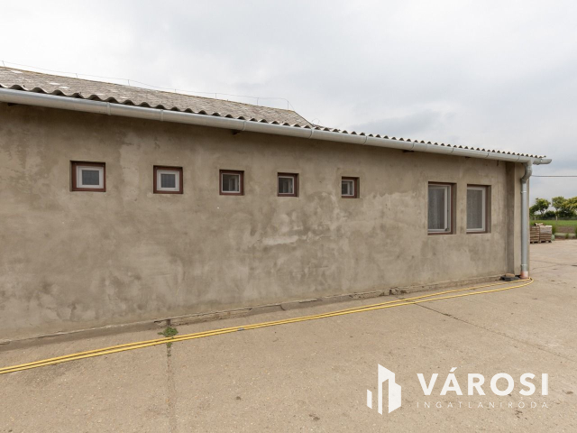 Makói, mezőgazdasági tanya/telephely eladó!