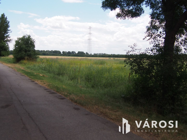 Iparterület Szeged és Vásárhely között, a Tisza hídnál!