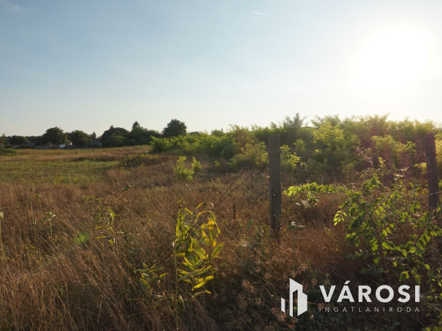Terjedelmes osztható telek akár befektetésnek!