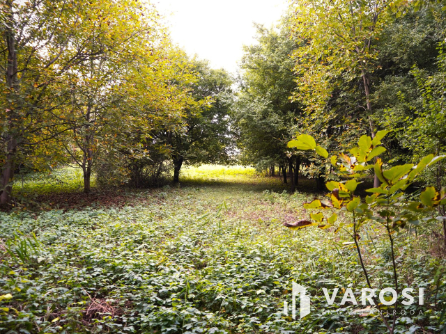 Győr-Révfaluban telek eladó!