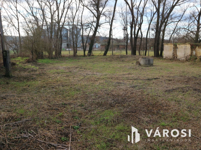 Zalaszentgróti telek ,projekttervel ,ötletes gazdát keres.