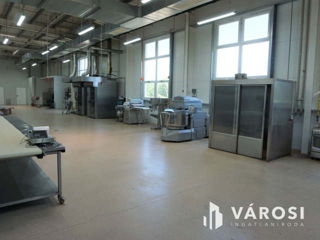 Ausztria határától mindössze 7 km-re korszerű telephely!