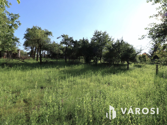 Körtefával teli telek eladó Győr közelében Töltéstaván