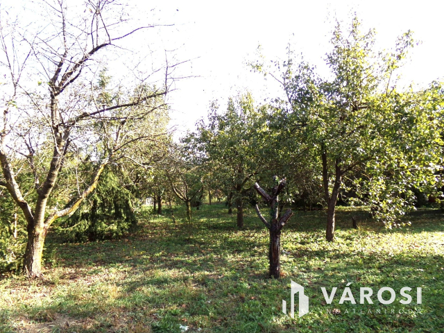 Nyugalom szigete Szanazugban