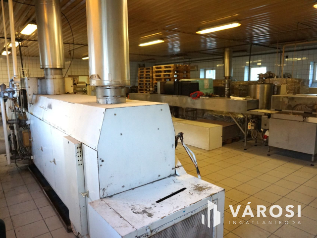 Élelmiszer feldolgozó ár alatt kiadó!