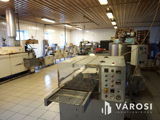 Élelmiszer feldolgozó ár alatt kiadó!