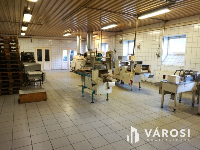 Élelmiszer feldolgozó ár alatt kiadó!