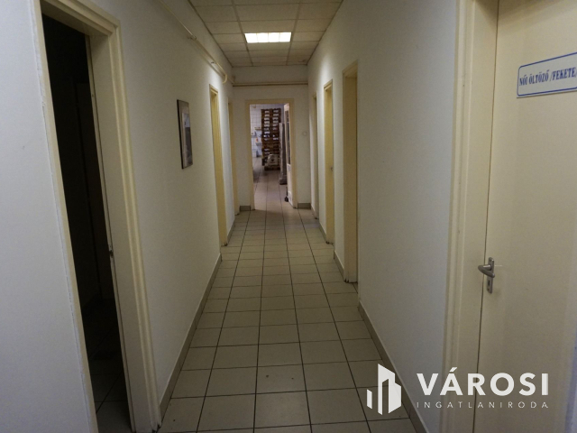 Élelmiszer feldolgozó ár alatt kiadó!