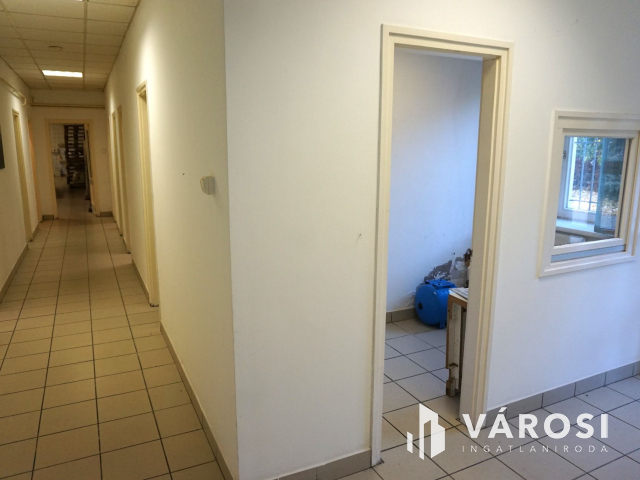 Élelmiszer feldolgozó ár alatt kiadó!