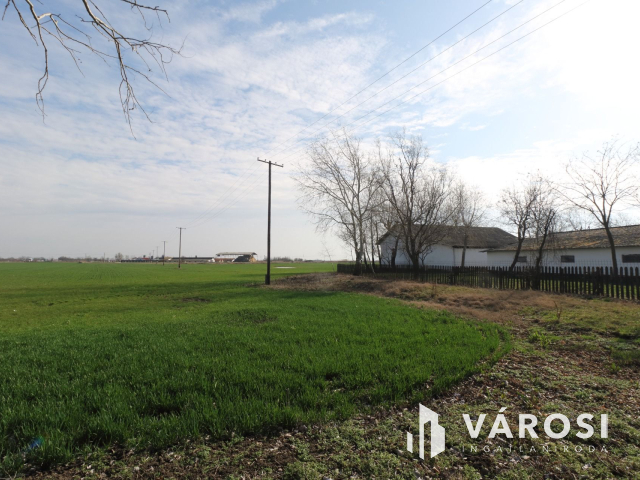 Két generációs gazdálkodásra alkalmas tanya