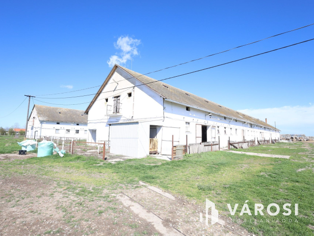 Eladó sertéstelep Szeghalom határában 11 ha területen