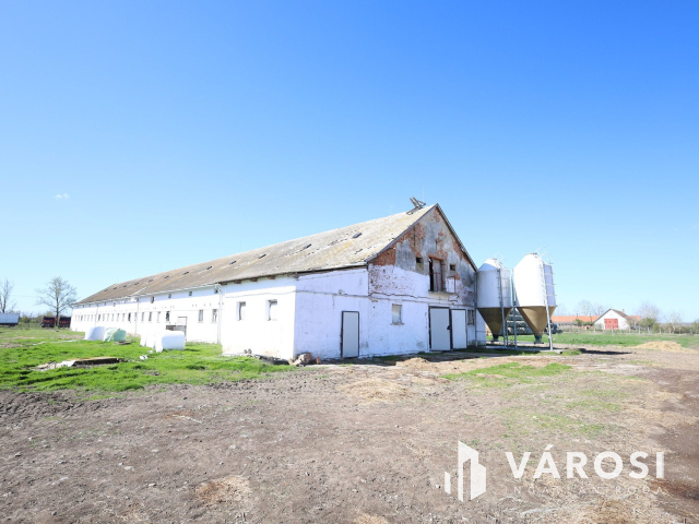 Eladó sertéstelep Szeghalom határában 11 ha területen