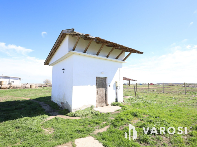 Eladó sertéstelep Szeghalom határában 11 ha területen