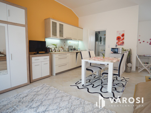 Exkluzív Zalakarosi ingatlan wellness részleggel