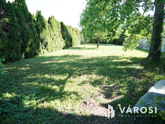 Forgalmas utcában, üzlethelység, nagy marketingfelülettel!