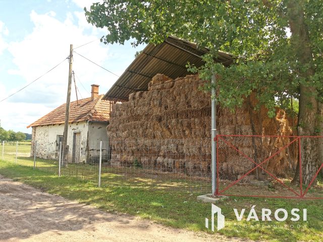 Működő állattartó farm berendezésekkel együtt eladó!