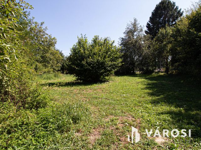 Saroktelek a szlovén határ mellett!