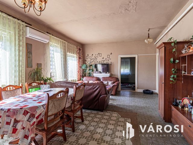 Gazdálkodásra, fóliázásra alkalmas Szatymazi tanya