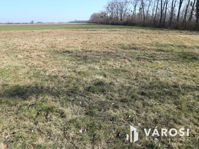 Szentgotthárd-Keddhely,volt laktanya,2Ha beépíthető telek