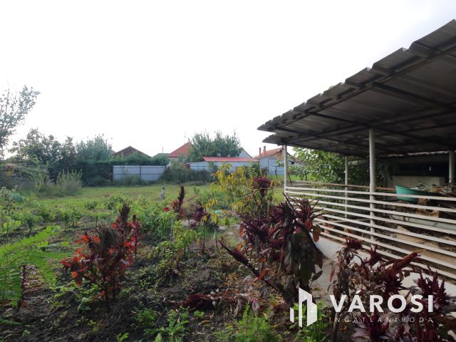 Mindszenten az Iskola utcában ház eladó