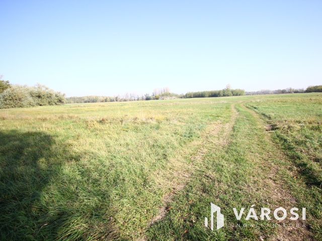 Balástyai tanyáknál