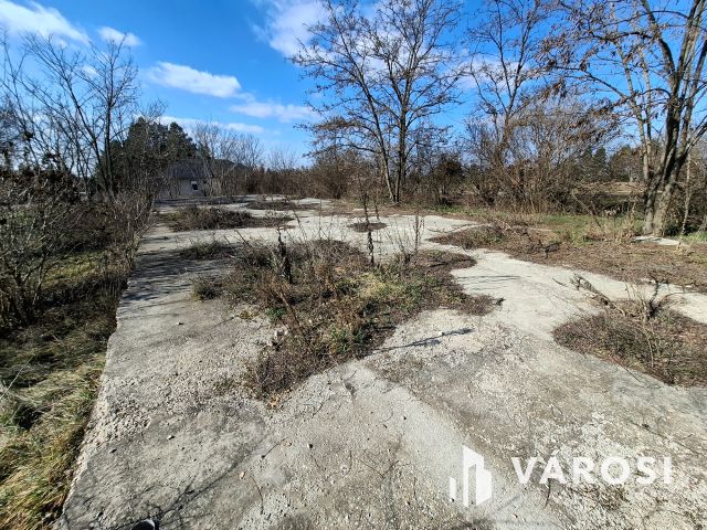 Jó fekvésű építési telek eladó Szőcön