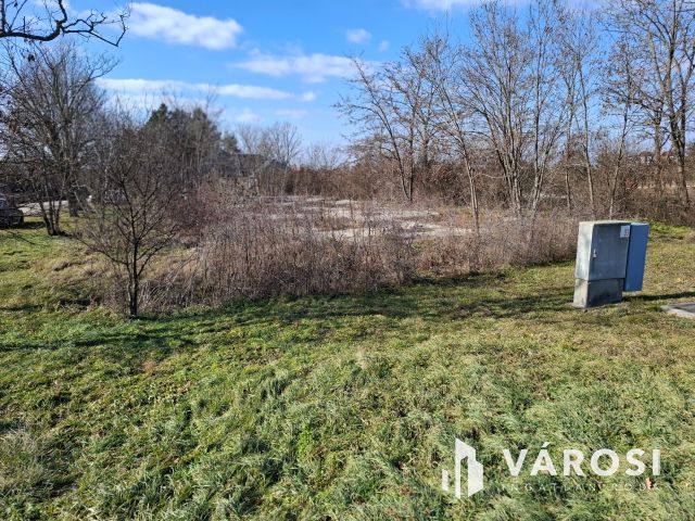 Jó fekvésű építési telek eladó Szőcön
