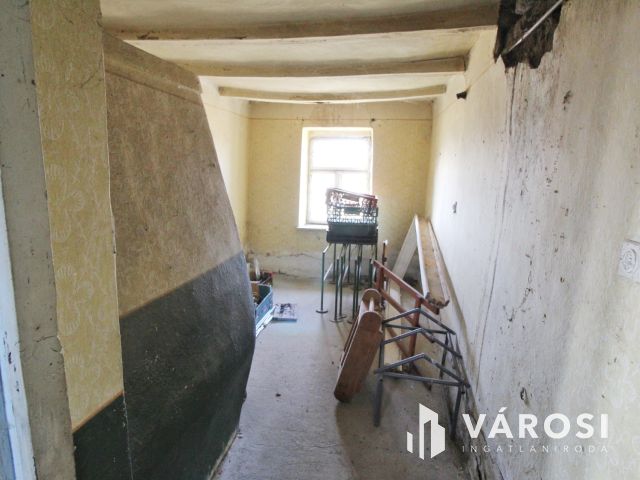 Vidéki élet ezen a sok lehetőséget rejtő kondorosi tanyán