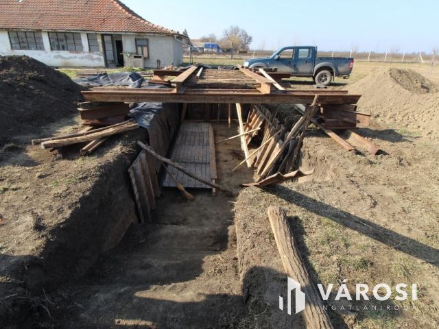 Vidéki élet ezen a sok lehetőséget rejtő kondorosi tanyán