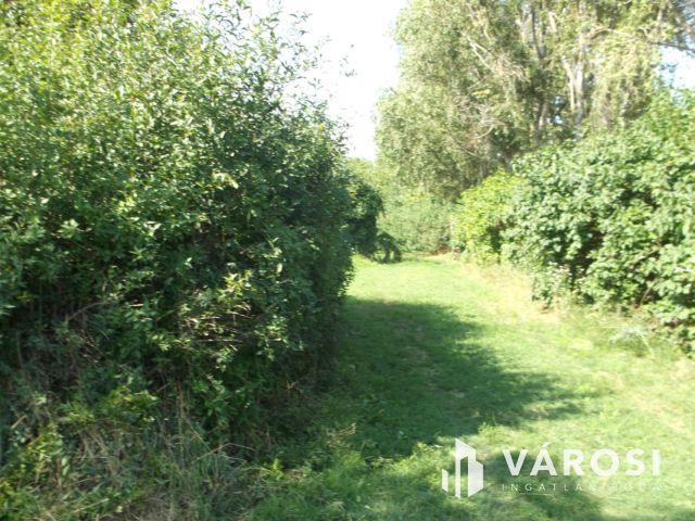 Eladó telek a gyulai ipari parkban