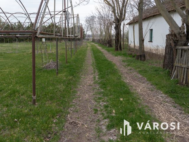 Bordányi kiskertek Eladók Fóliaházakkal