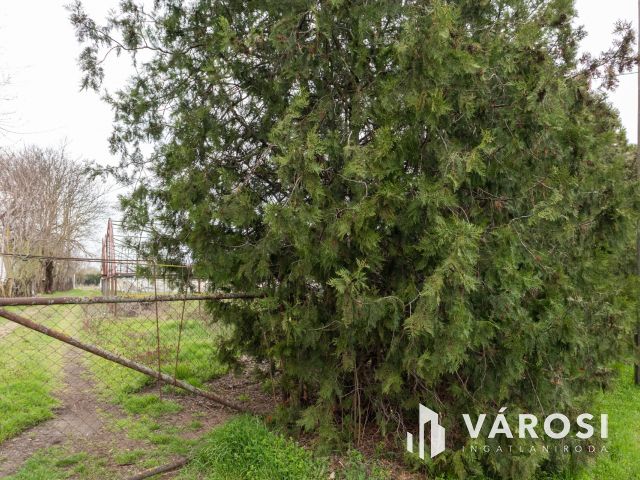 Bordányi kiskertek Eladók Fóliaházakkal