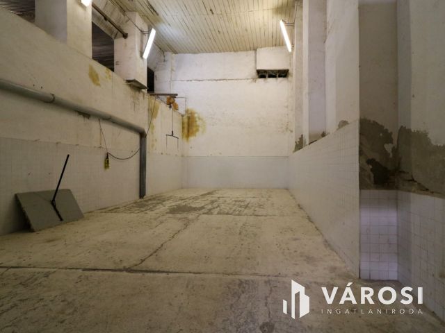 Eladó ipari ingatlan – nagy terekkel és saját kúttal!