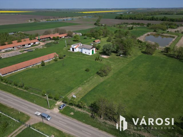 Eladó „hacienda”  Battonyán