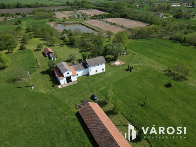 Eladó „hacienda”  Battonyán