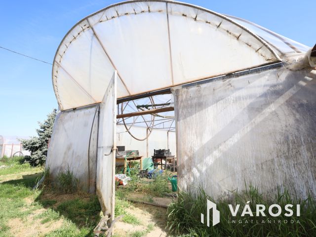 Tanya gazdálkodásra alkalmas területtel