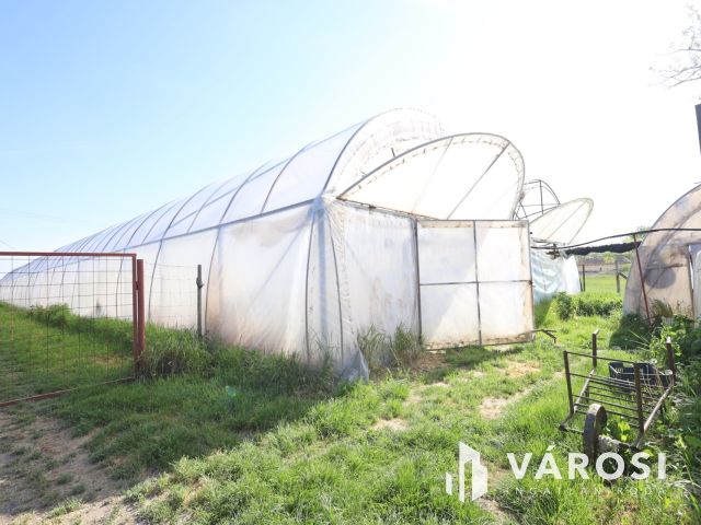 Tanya gazdálkodásra alkalmas területtel