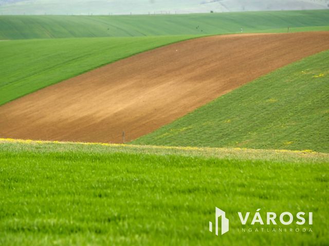 9,3 HEKTÁR SZÁNTÓ 1/1