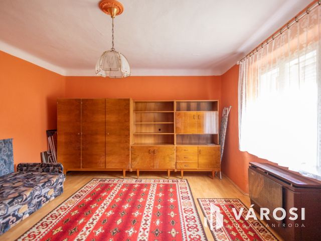 Jó szerkezetű kis ház tágas telekkel a folyóparton