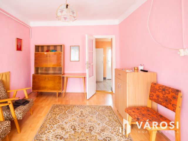 Jó szerkezetű kis ház tágas telekkel a folyóparton