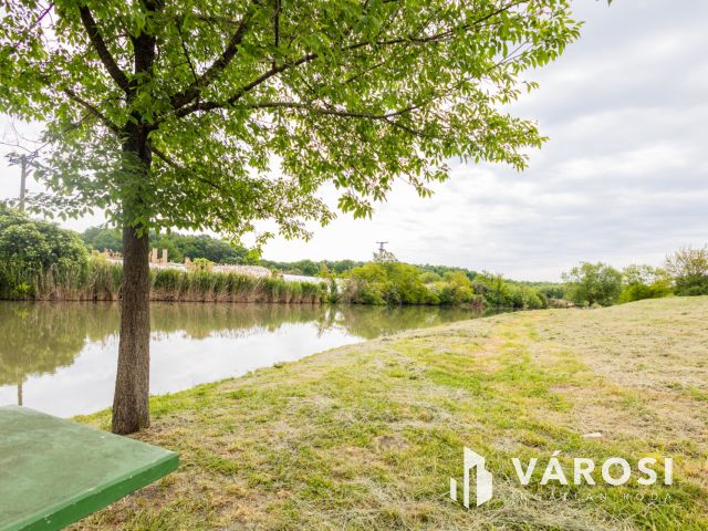 Jó szerkezetű kis ház tágas telekkel a folyóparton