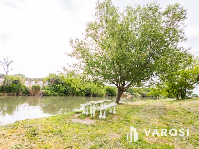 Jó szerkezetű kis ház tágas telekkel a folyóparton