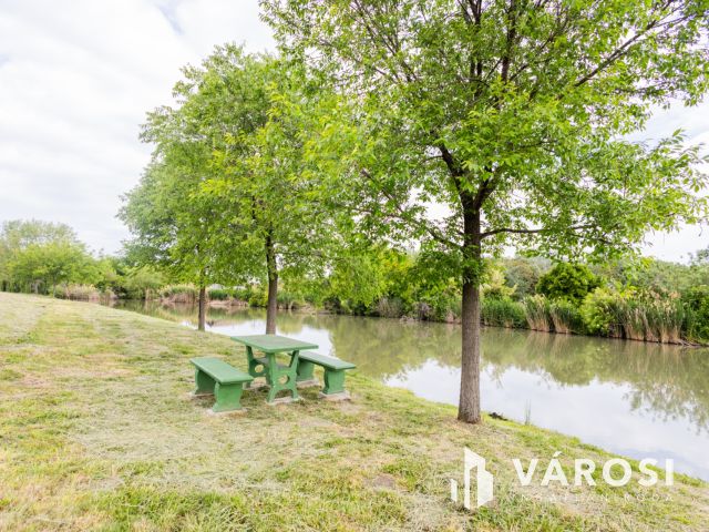 Jó szerkezetű kis ház tágas telekkel a folyóparton