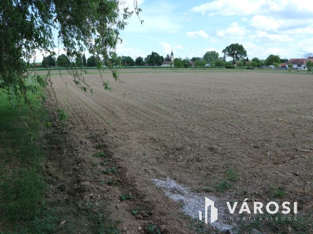 Körmend-H.nádalja Belterületi üres beépíthető telek 3693m2