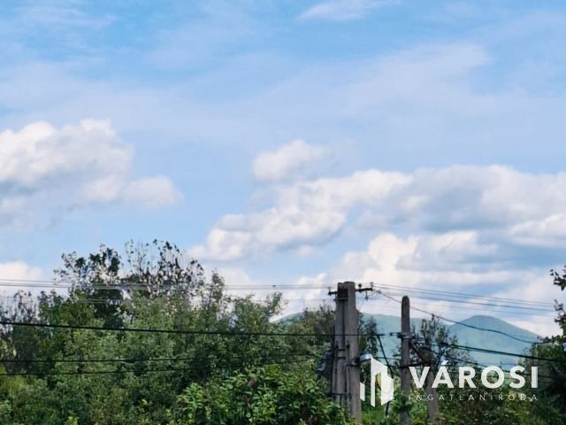 Nagy, felújított családi ház Egyházasgergén