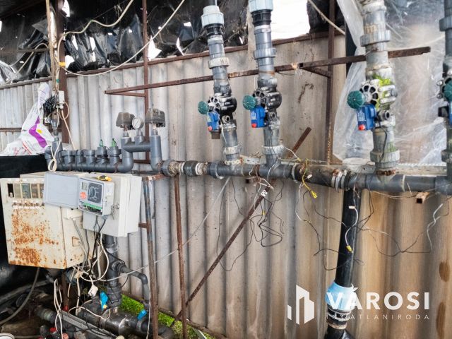 Erdészház utcai gazdaság Eladó